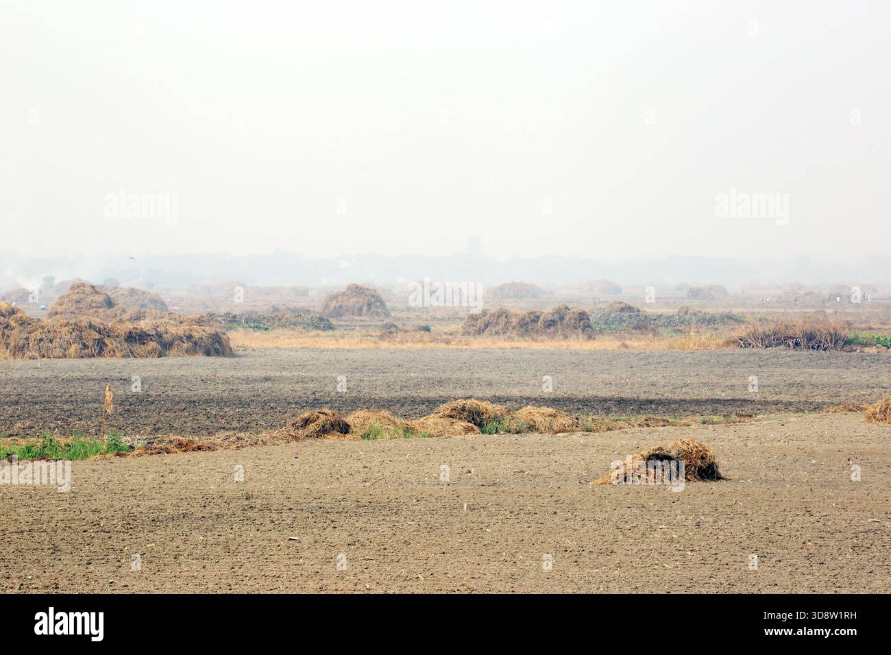 Dhaka, Munshigong, Bangladesh. 2nd Dec, 2025. 2 december 2025 Bangladesh:As winter approaches, farmers across the country have become busy preparing their fields for potato cultivation. They are carefully tilling the soil, burning the leftover straw and mixing the resulting ash into the land''”an age-old method of creating natural fertilizer.In many fields, potato planting has already begun. Farmers are hopeful that by next March the fields will be filled with the golden harvest of fresh potatoes.Last year, in 2024, farmers cultivated potatoes on 35,779 hectares of land. This year, in 2 Stock Photo