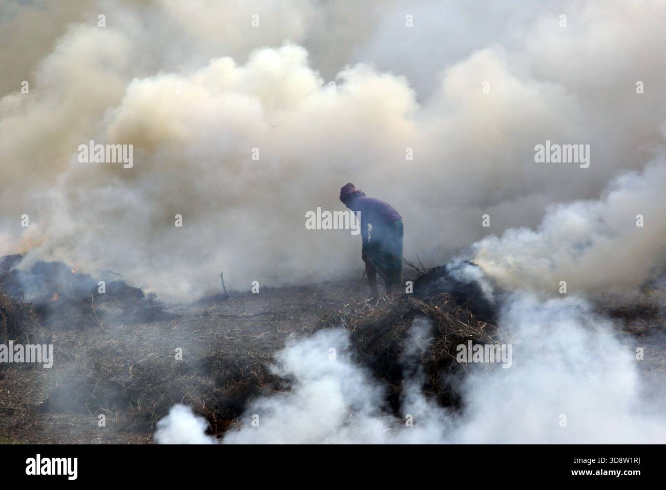 Dhaka, Munshigong, Bangladesh. 2nd Dec, 2025. 2 december 2025 Bangladesh:As winter approaches, farmers across the country have become busy preparing their fields for potato cultivation. They are carefully tilling the soil, burning the leftover straw and mixing the resulting ash into the land''”an age-old method of creating natural fertilizer.In many fields, potato planting has already begun. Farmers are hopeful that by next March the fields will be filled with the golden harvest of fresh potatoes.Last year, in 2024, farmers cultivated potatoes on 35,779 hectares of land. This year, in 2 Stock Photo
