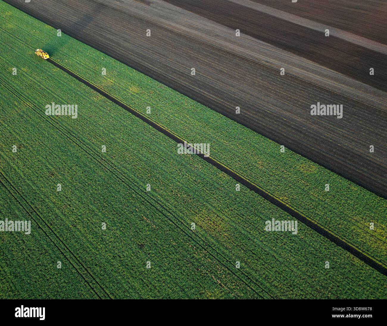 01 December 2025, Saxony-Anhalt, Lützen: A beet harvester harvests sugar beet from a field in southern Saxony-Anhalt. The 2025 beet campaign has been running since September and will continue until January 2026. Ländliche Handels- und Transportgenossenschaft Lützen eG harvests here for the Südzucker sugar factory in neighboring Zeitz. (Aerial view with drone) Photo: Jan Woitas/dpa Stock Photo