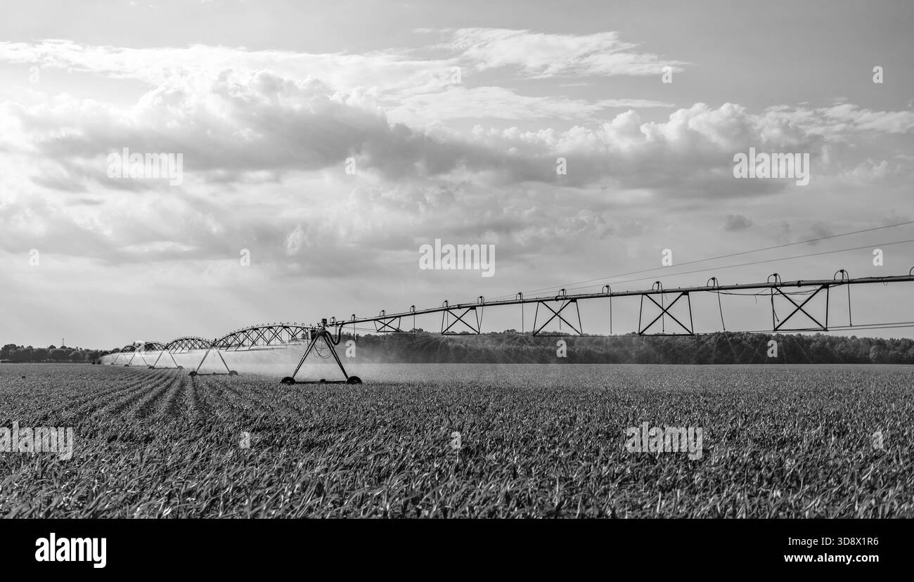 Crop spraying in field Black and White Stock Photos & Images - Alamy