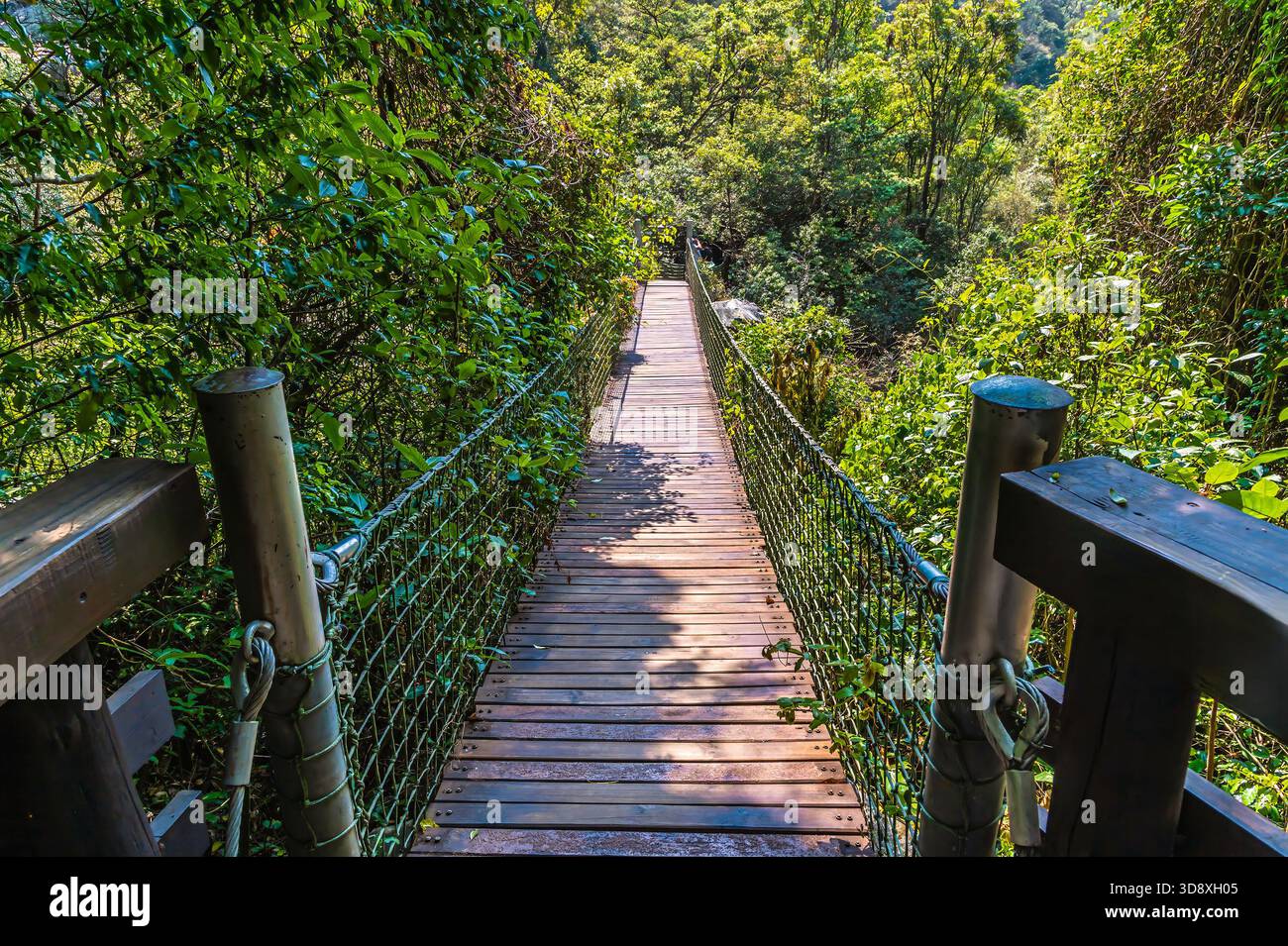 Optical Gorge Rope Bridge A view across a rope suspension bridge at the bottom of the gorge at ...