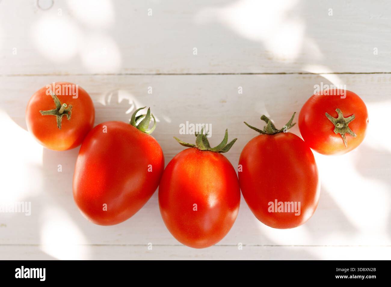 Five whole red tomatoes arranged on a rustic white painted wooden table ...