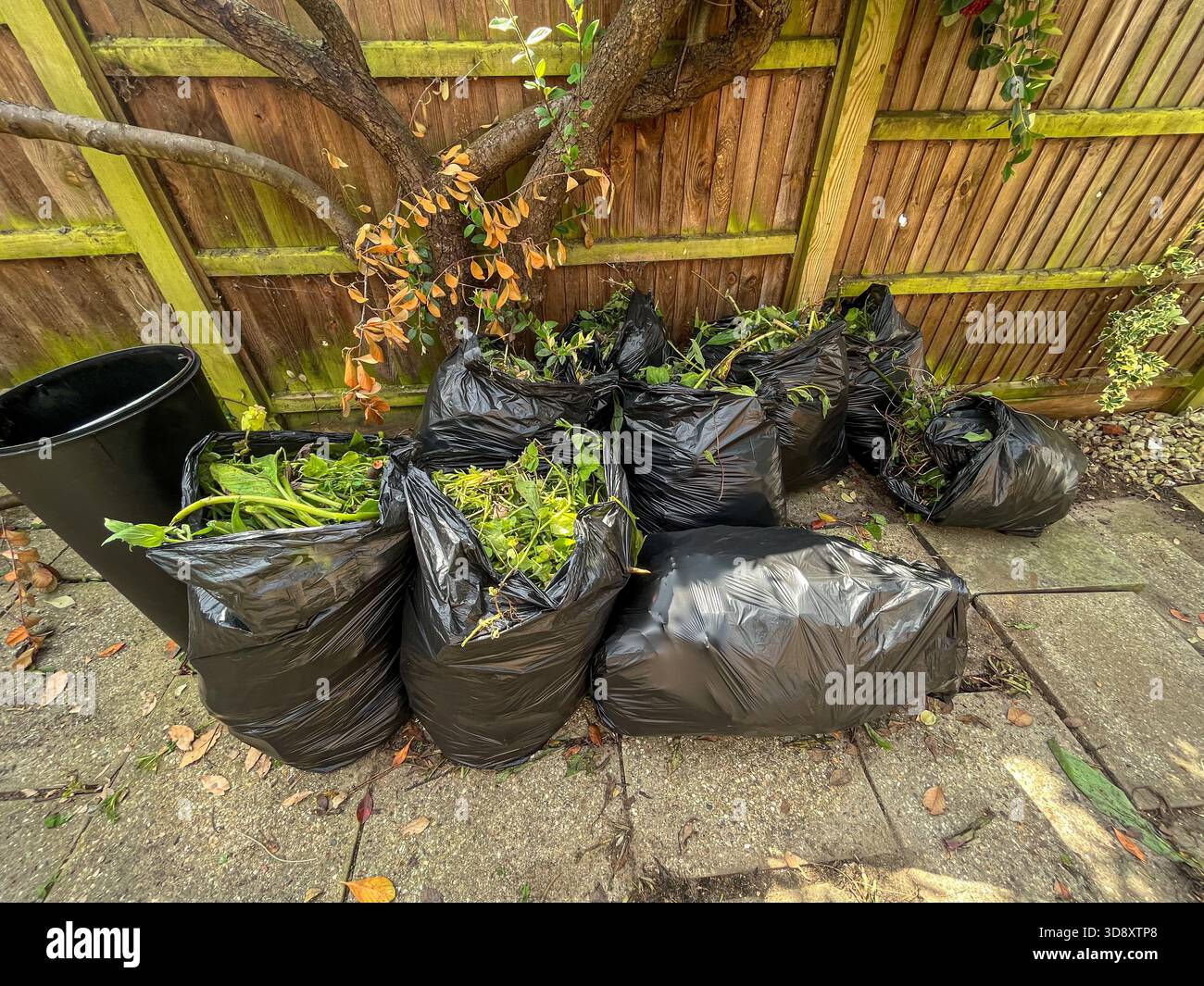 Black Garden Waste Bags After Yard Cleanup in an English Garden - Smartphone Captured Stock Image