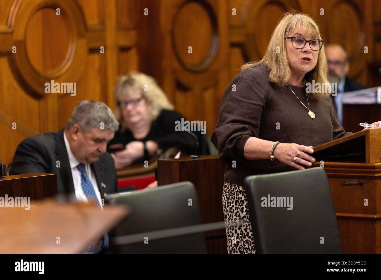 Tania Rattray MLC during a vote on the proposed stadium at Macquarie ...