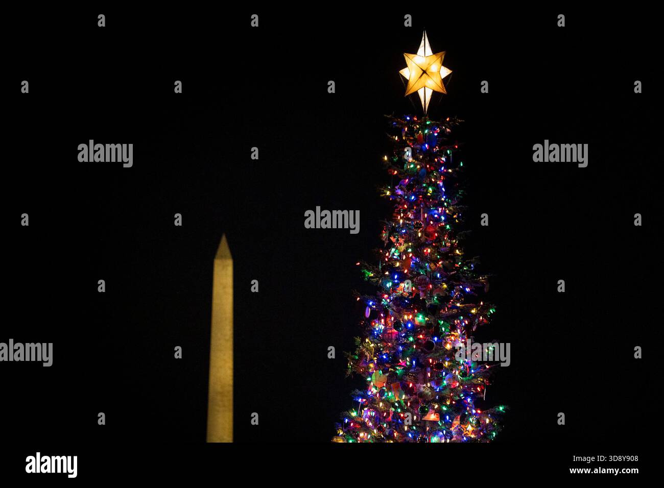 Washington, United States. 02nd Dec, 2025. The 2025 Capitol Christmas tree is seen against the Washington Monument after a ceremony with Speaker of the House Mike Johnson, R-LA, members of the Nevada Congressional delegation and the Secretary of Agriculture to light the tree on the West Front Lawn of the U.S. Capitol in Washington, DC on Tuesday, December 2, 2025. The tree, a 53-foot red fir from the Humboldt-Toiyabe National Forest in Nevada, is nicknamed 'Silver Belle' and is the first Capitol Christmas Tree to be selected from Nevada. Photo by Bonnie Cash/UPI Credit: UPI/Alamy Live News Stock Photo