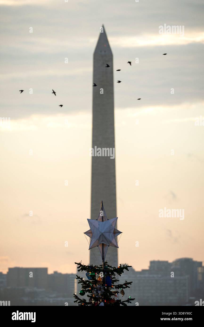 The star of the 2025 Capitol Christmas tree is seen against the Washington Monument before a ceremony with Speaker of the House Mike Johnson, R-LA, members of the Nevada Congressional delegation and the Secretary of Agriculture to light the tree on the West Front Lawn of the U.S. Capitol in Washington, DC on Tuesday, December 2, 2025. The tree, a 53-foot red fir from the Humboldt-Toiyabe National Forest in Nevada, is nicknamed 'Silver Belle' and is the first Capitol Christmas Tree to be selected from Nevada. Photo by Bonnie Cash/UPI Stock Photo