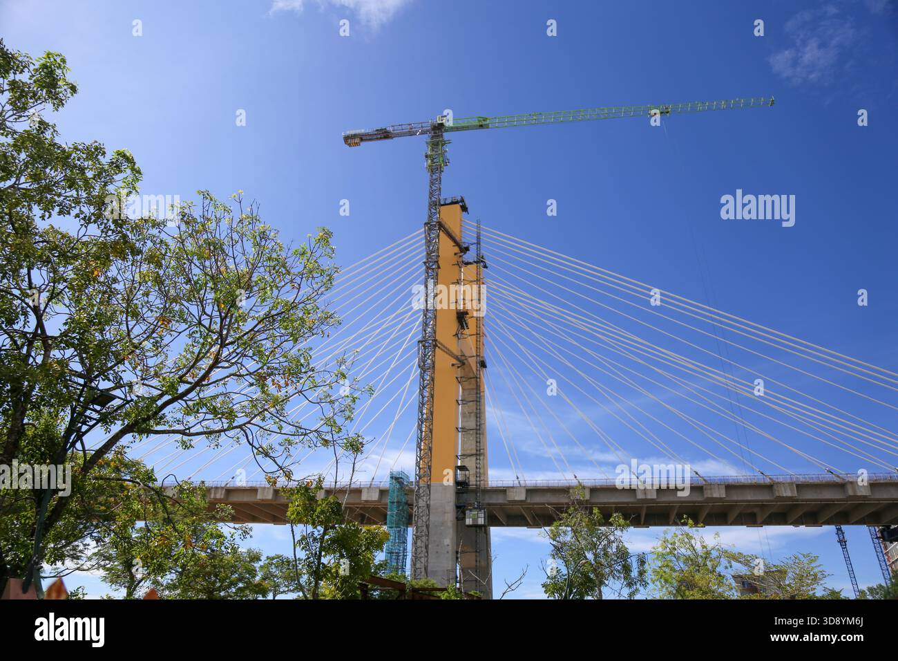 Cable-Stayed Bridge Construction with Tower Crane Under Blue Sky Stock Photo
