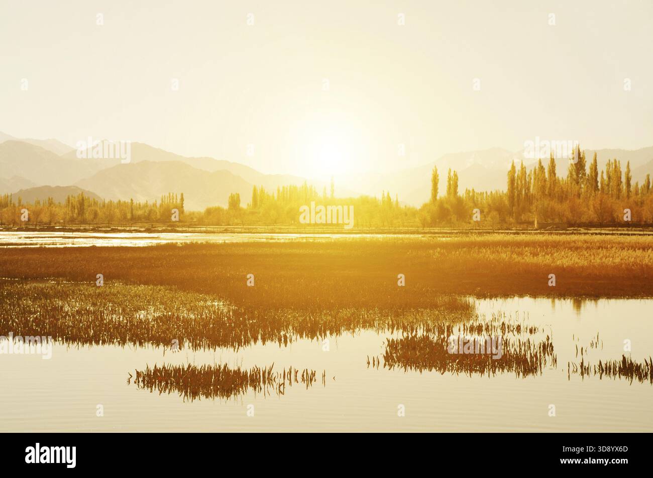 Sunrise view holy fish hi-res stock photography and images - Alamy
