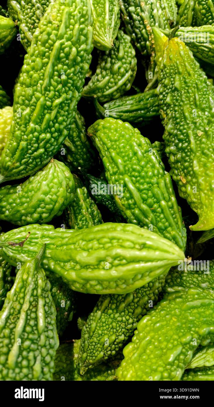 Distinctive bumpy texture hi-res stock photography and images - Alamy