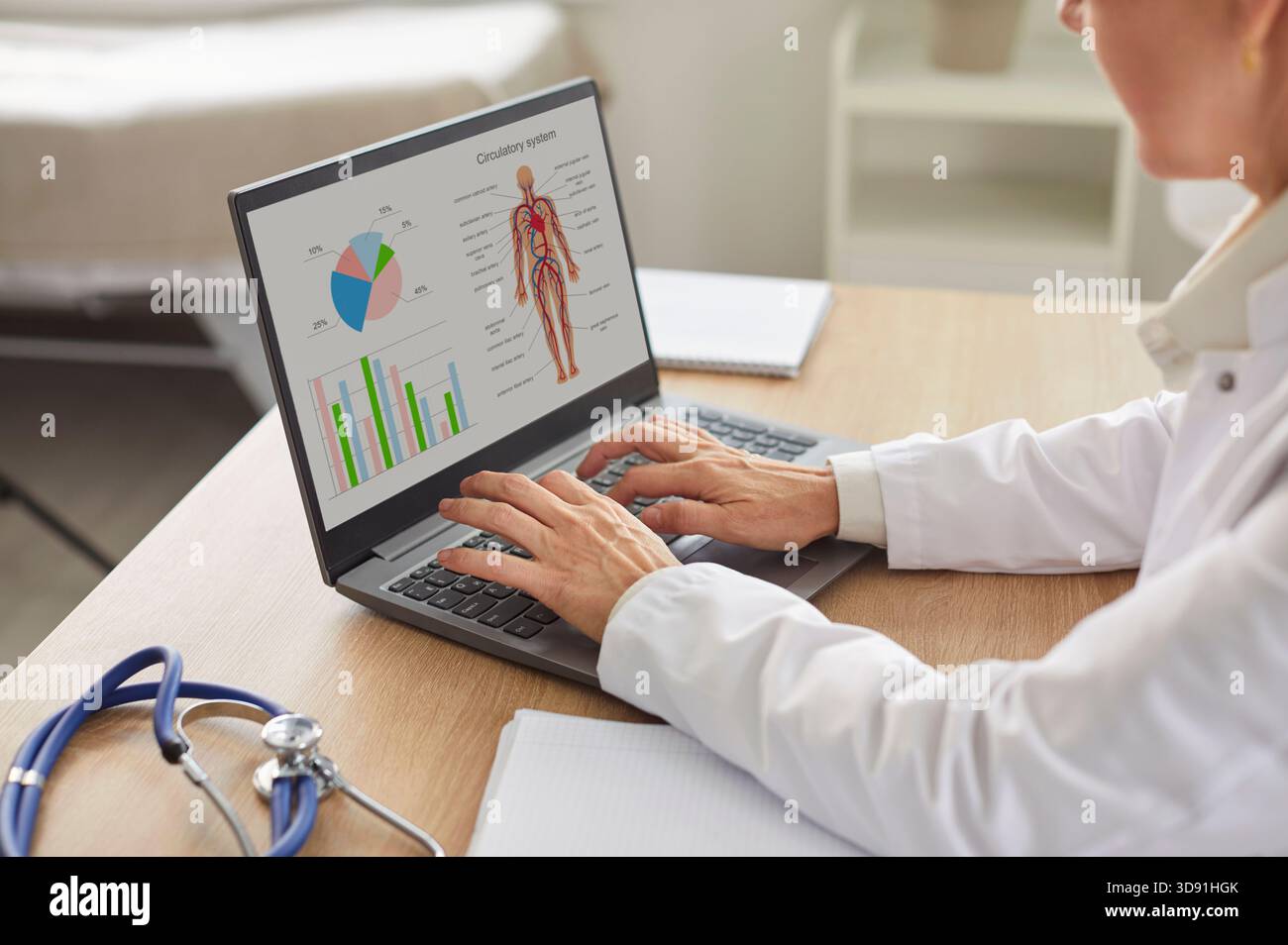 Doctor at laptop screen, general practitioner using online app for studying human anatomy Stock Photo