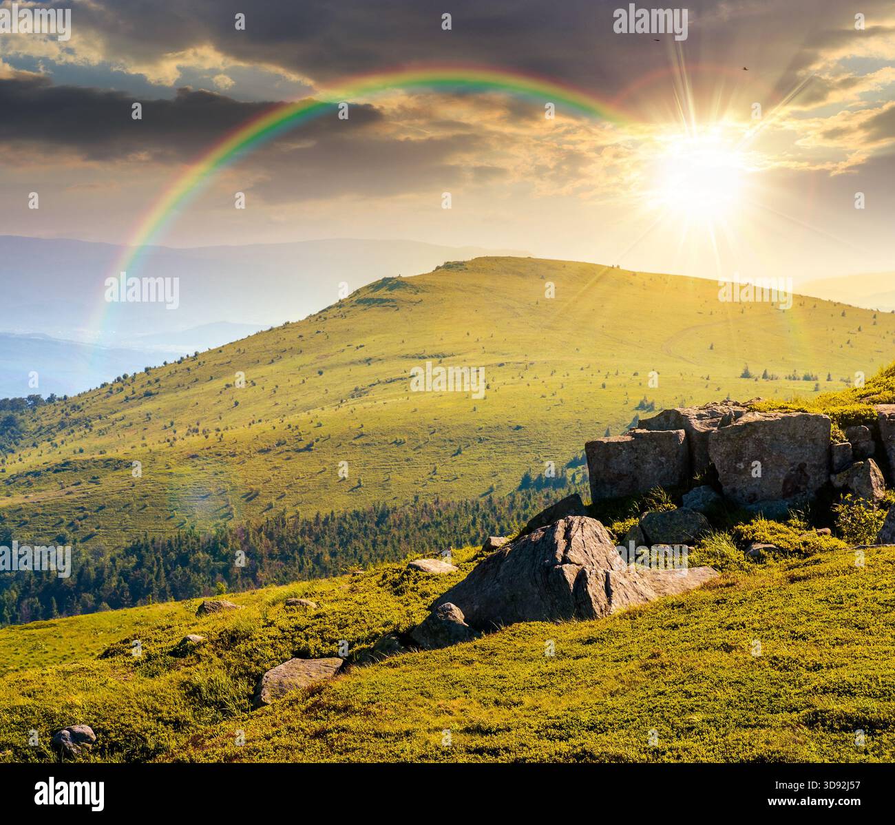 green alpine meadows in mountains in summer at sunset. stones on grassy hills in evening light. popular travel destination for photo. storytelling ima Stock Photo