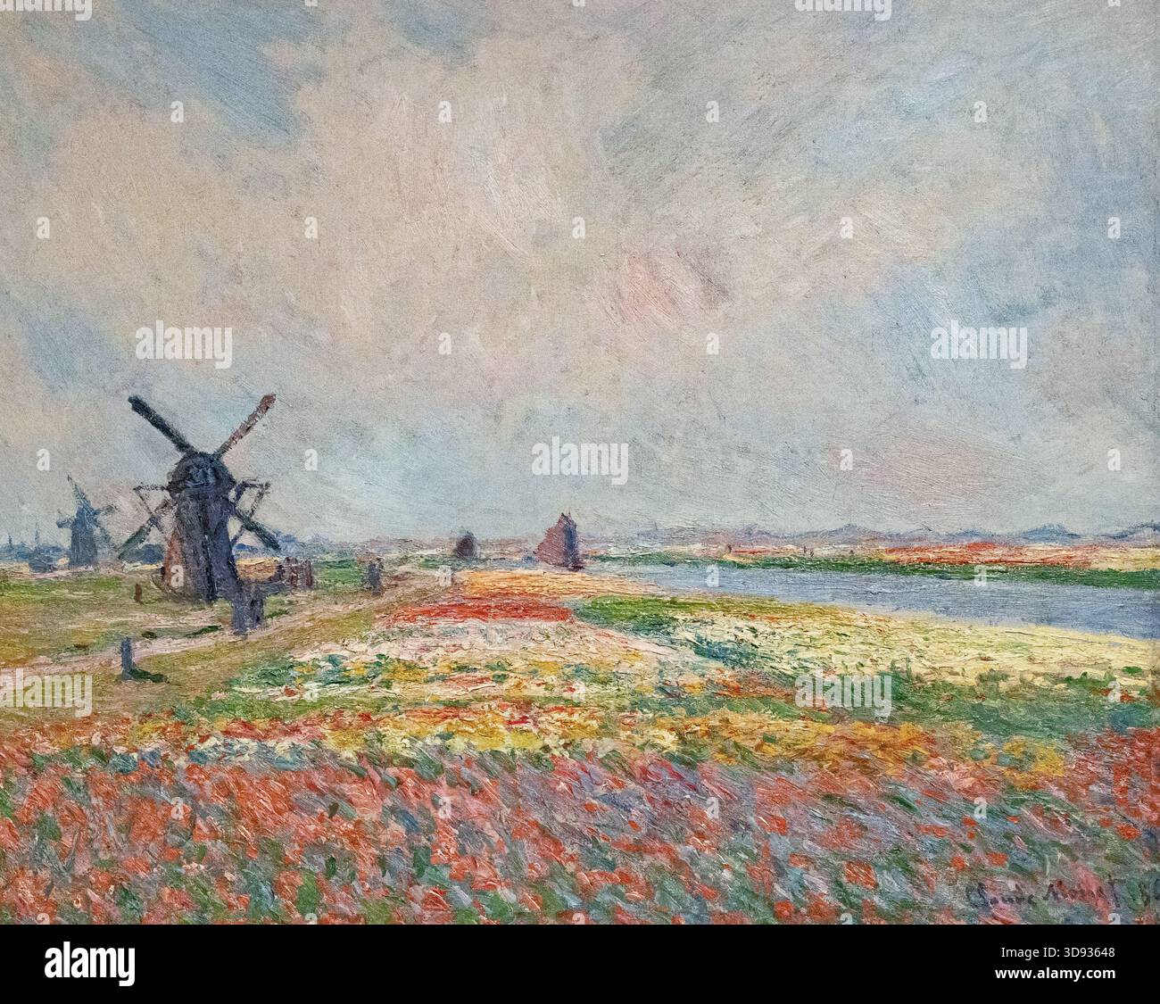 Claude Monet - Tulip Fields near the Hague Stock Photo - Alamy