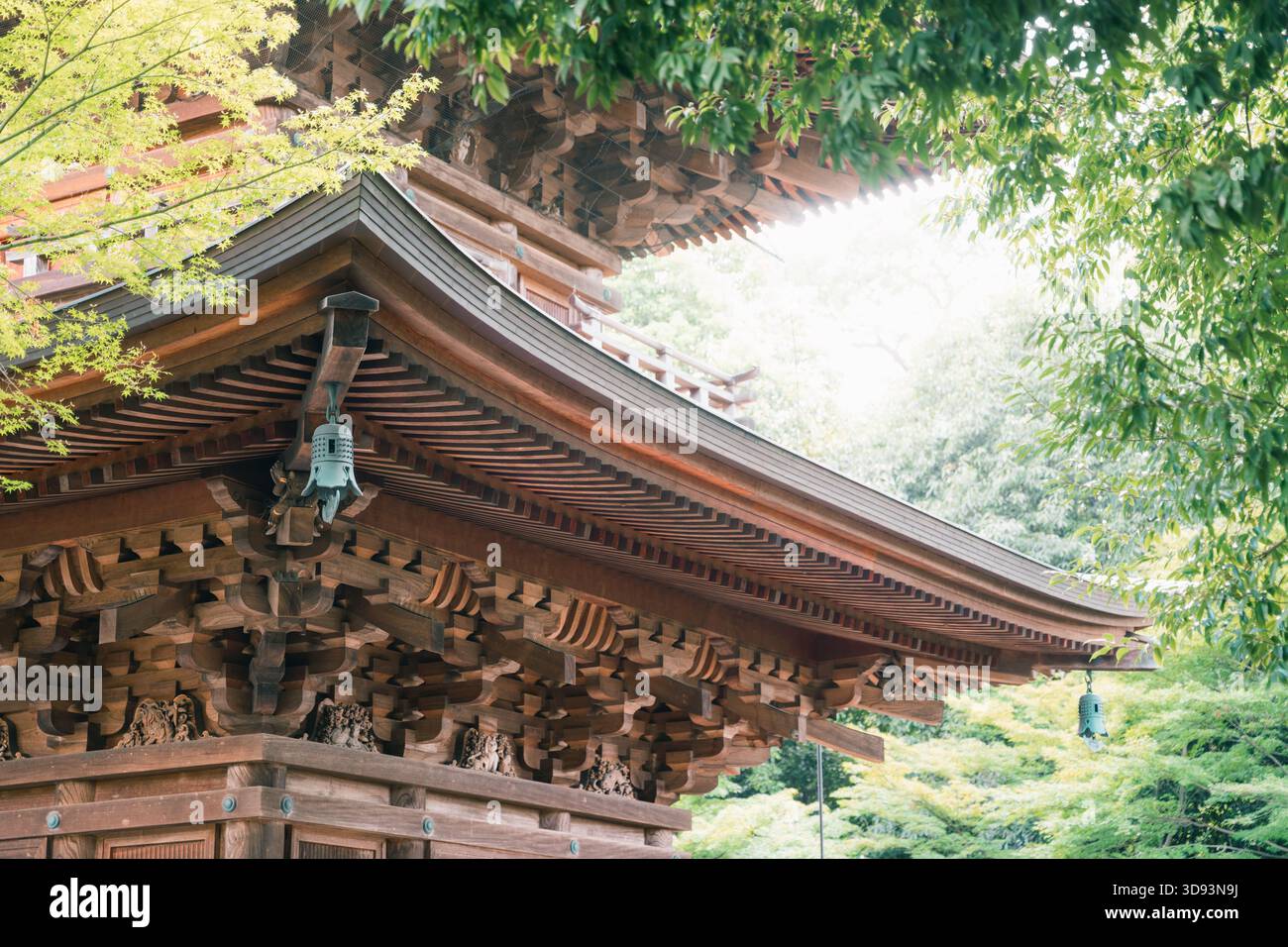 Mokoshi Historic Japanese temple roof in Tokyo, showcasing intricate wooden ...