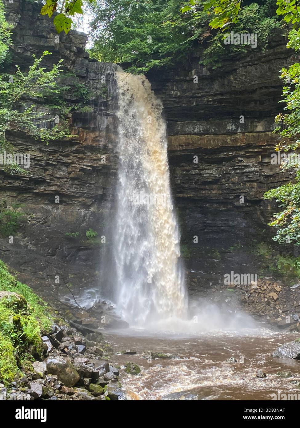 Hardraw Force is located in the midst of the Yorkshire Dales National Park in the north of England.   The falls is about 100 ft (30 metres) high and i - Smartphone Captured Stock Image