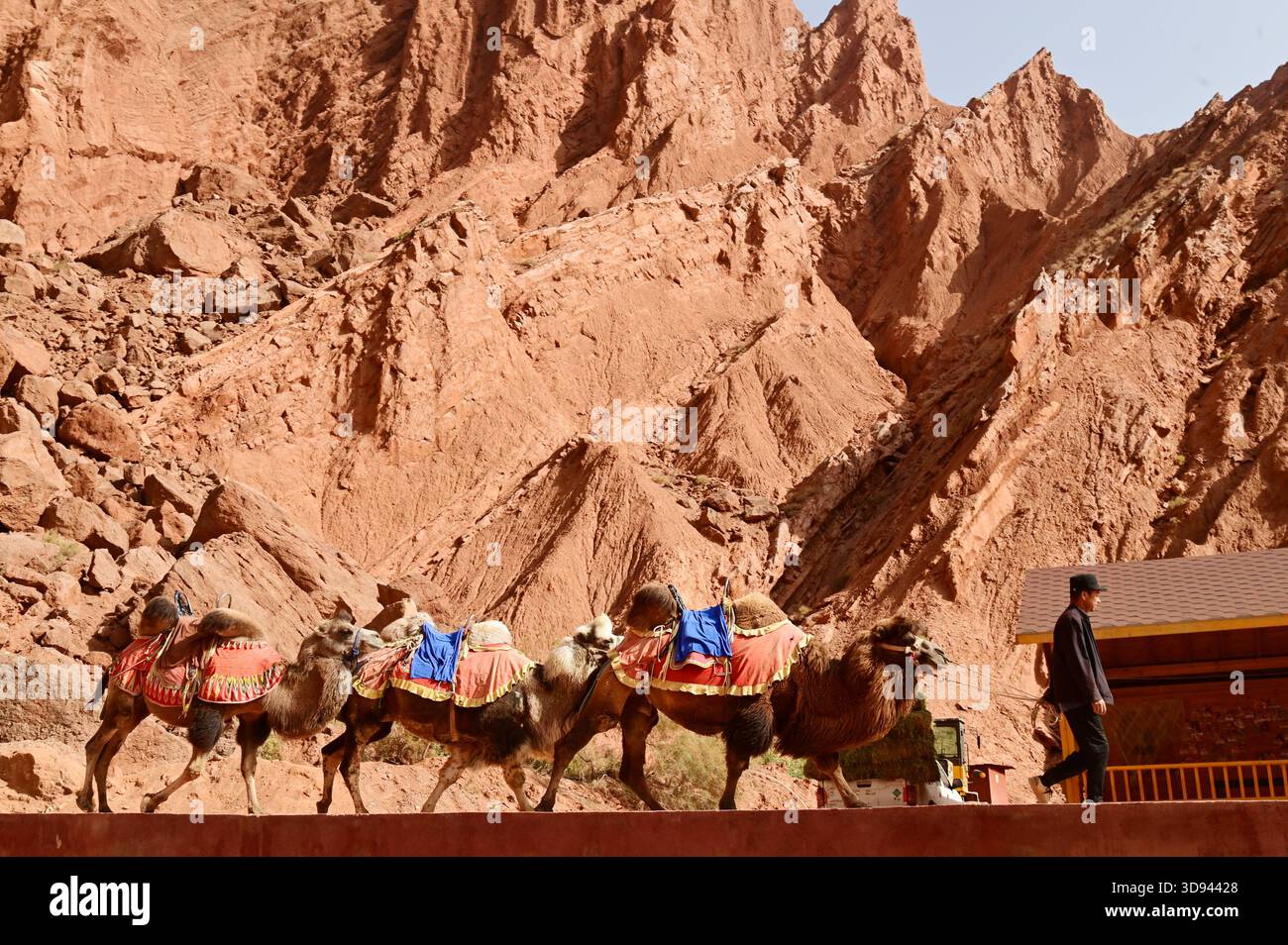 Villagers leading camels at the Tianshan Grand Canyon, or Kesileya