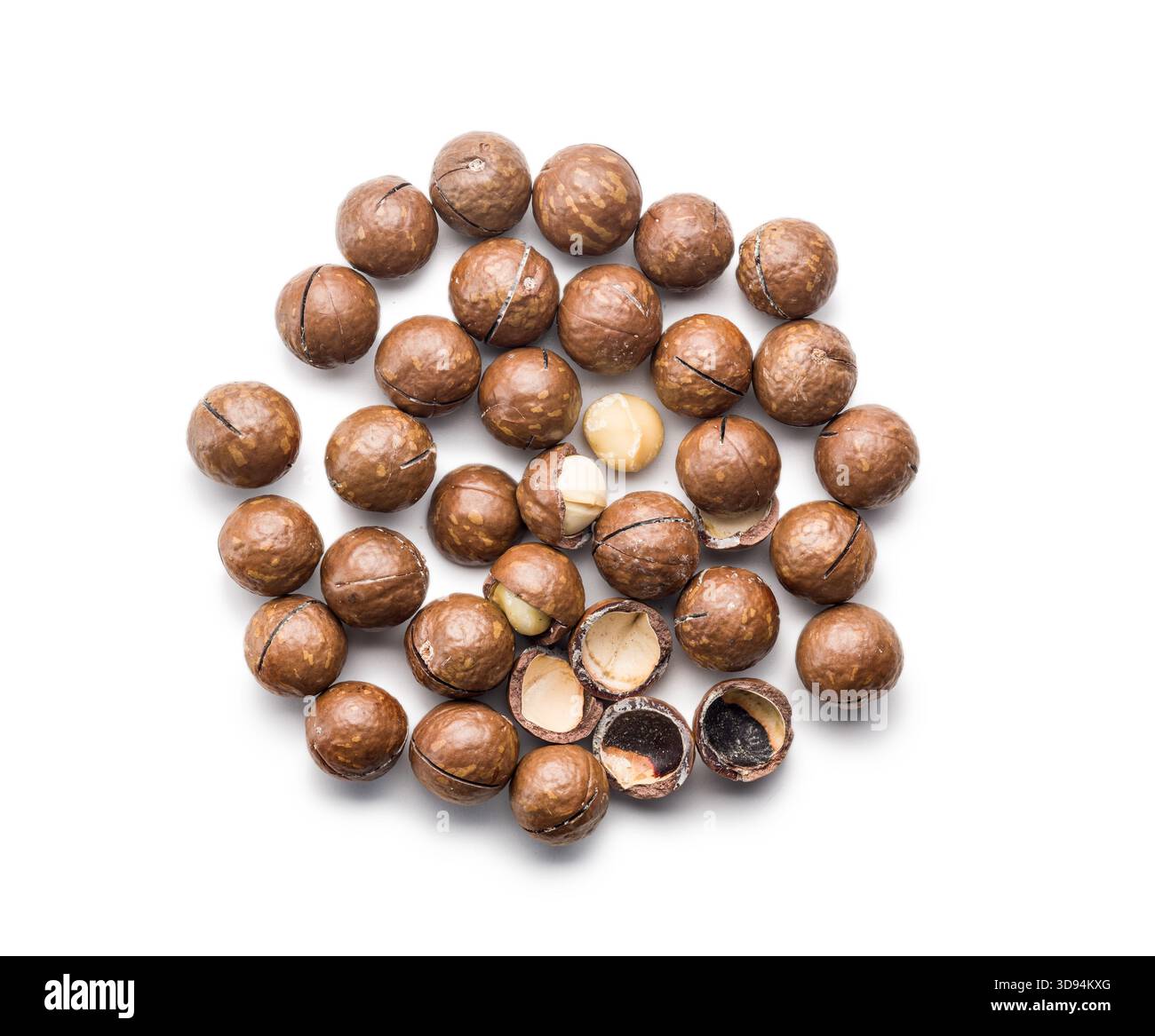 Tasty macadamia nuts isolated on a white background. Stock Photo