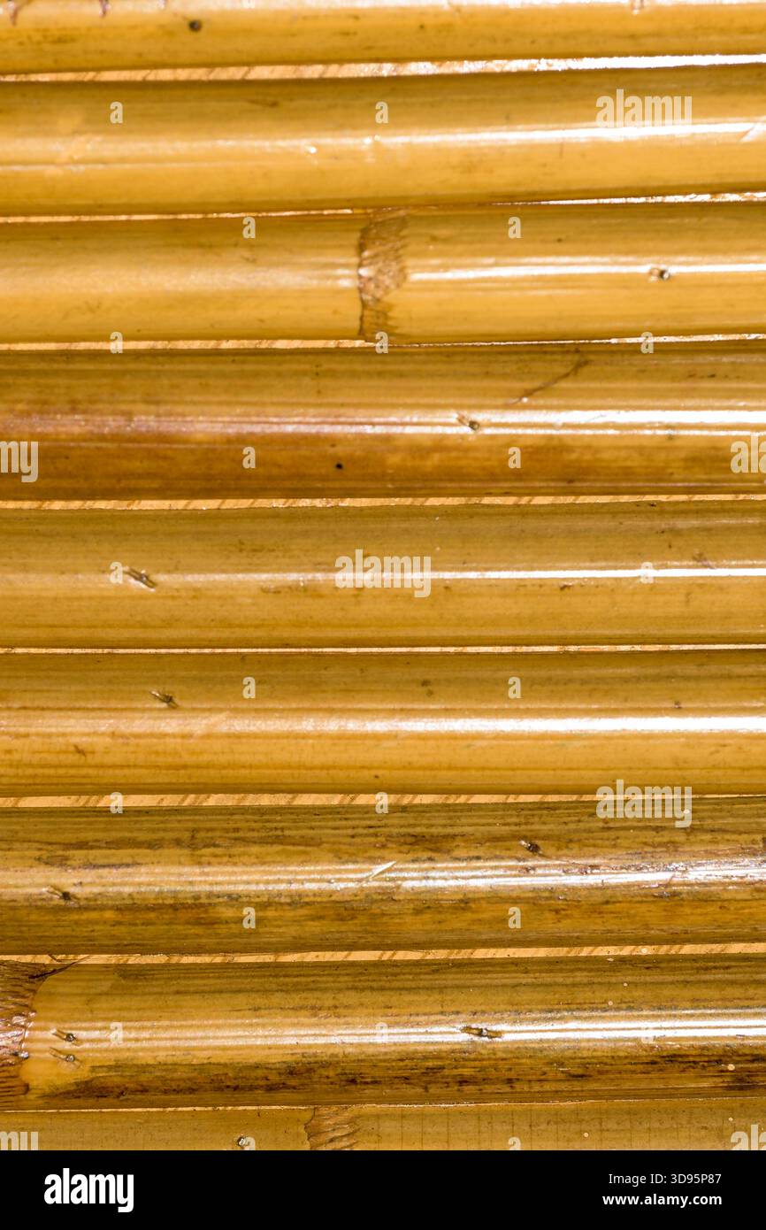 Close up of natural bamboo rods arranged horizontally with warm tones ...