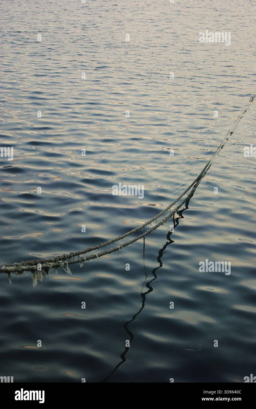 Quiet mystery on the water. A mooring line disappears into the calm, muted sea, creating a lonely and melancholic texture against the surface. Stock Photo