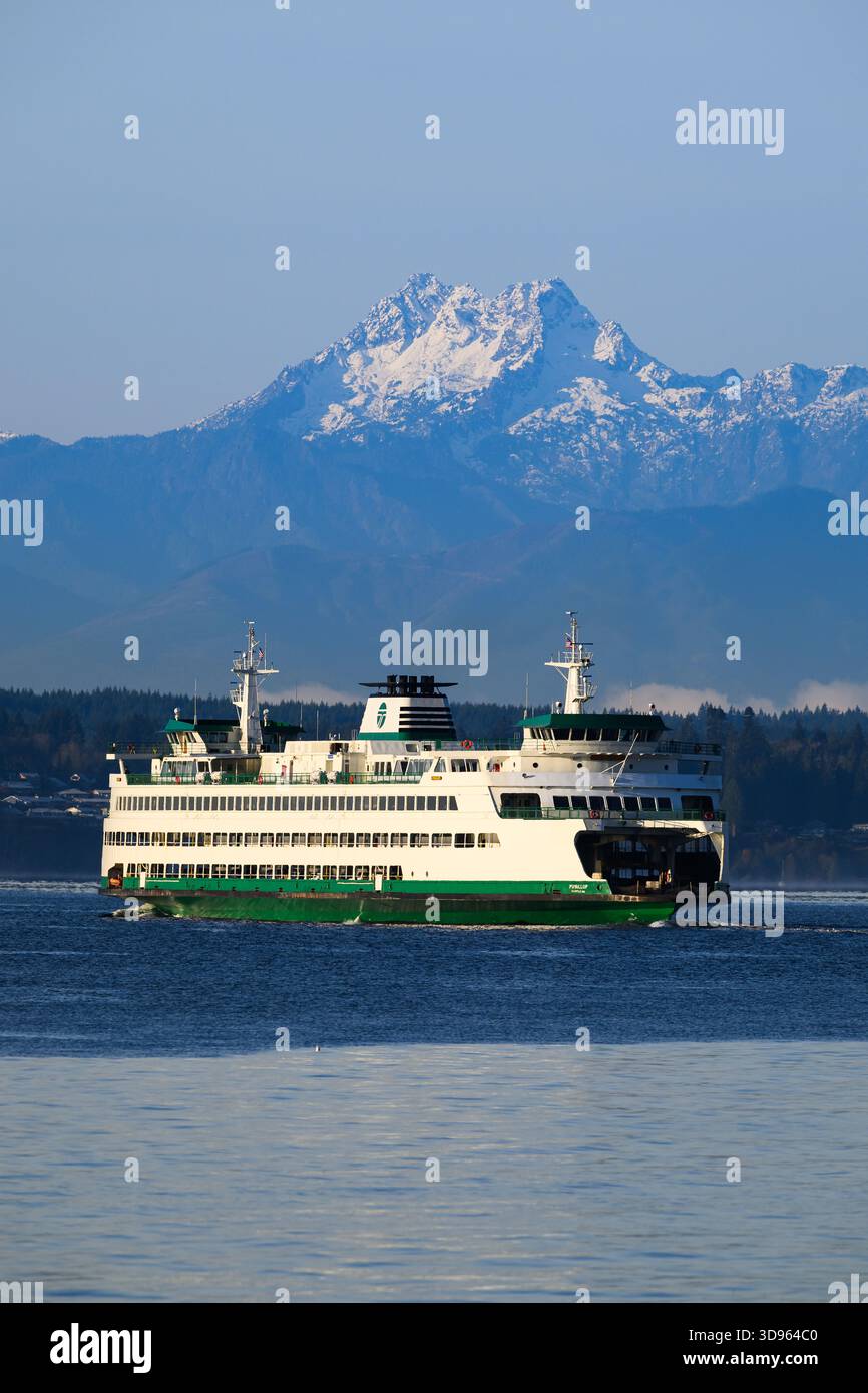 Edmonds, WA, USA - November 30, 2025; Olympic Mountains rise above Washington State car ferry MV Puyallup crossing Puget Sound Stock Photo