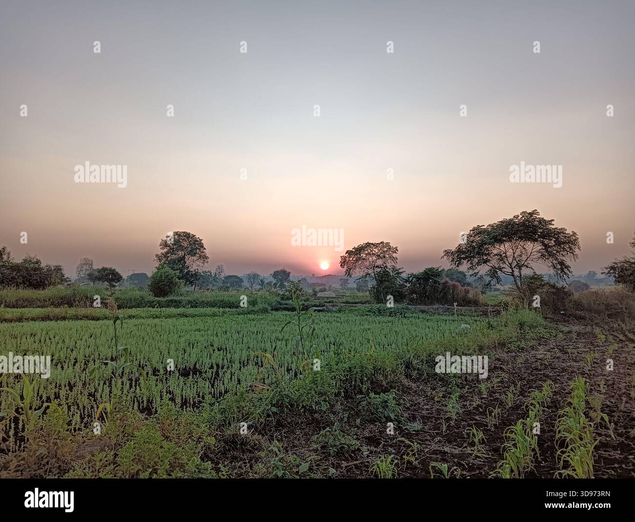 “Every sunset brings the promise of a new dawn.” - Smartphone Captured Stock Image