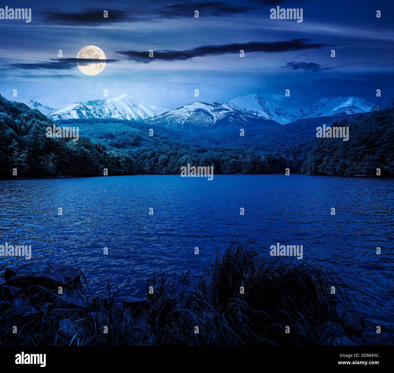 mountain lake in springtime at night. composite landscape of lake and ridge in full moon light. calm water, green forest and snow capped peaks. backdr Stock Photo