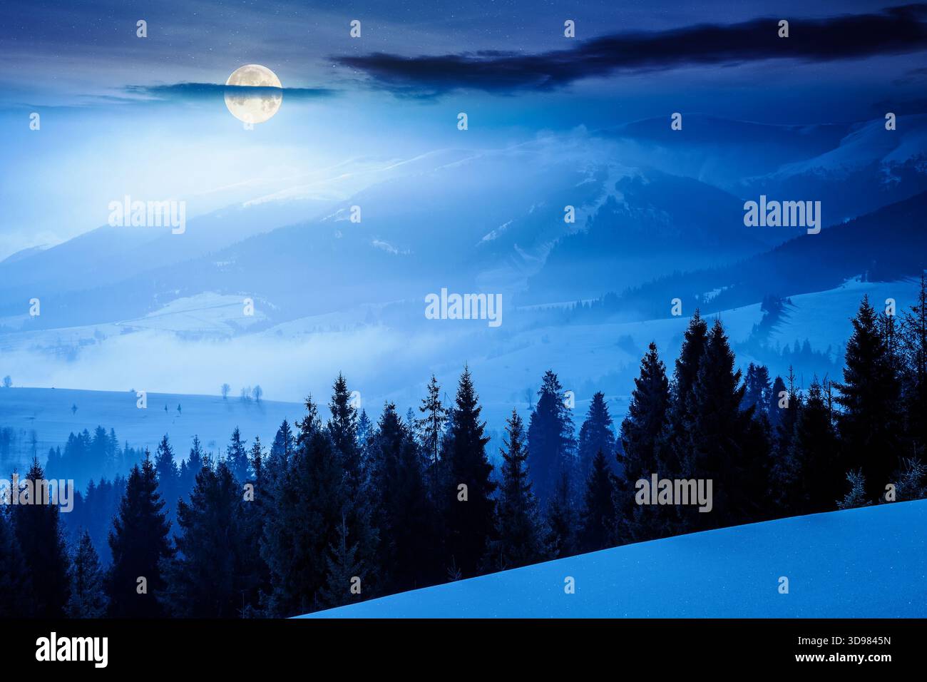 winter landscape at night. fir trees on snow covered hill in full moon light. mysterious place in mountains. winter wonderland background for photo tr Stock Photo