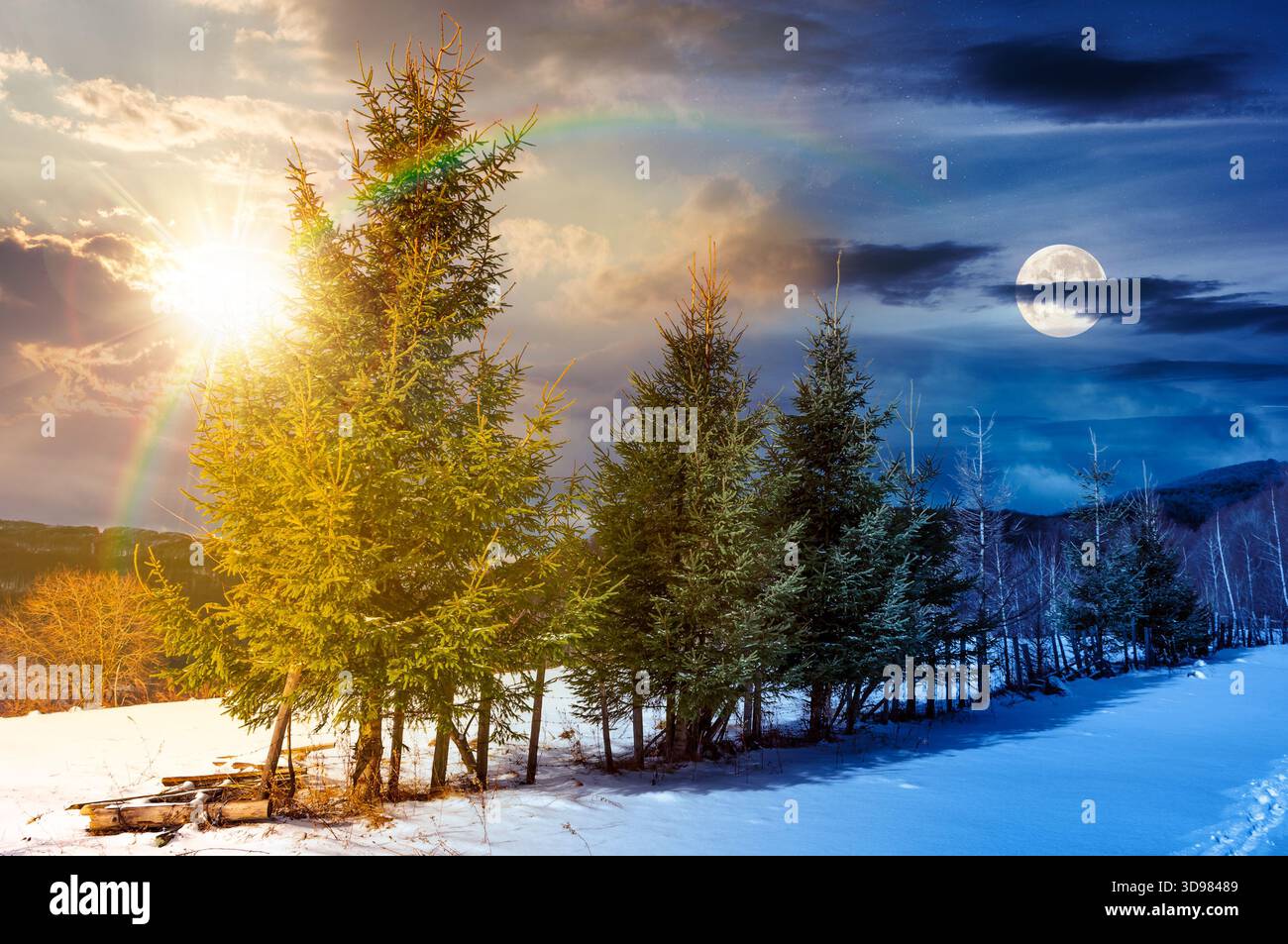 row of spruce trees on top of snow covered hill in winter. day and night time change concept. beautiful scenery in mountains with sun and moon. holida Stock Photo