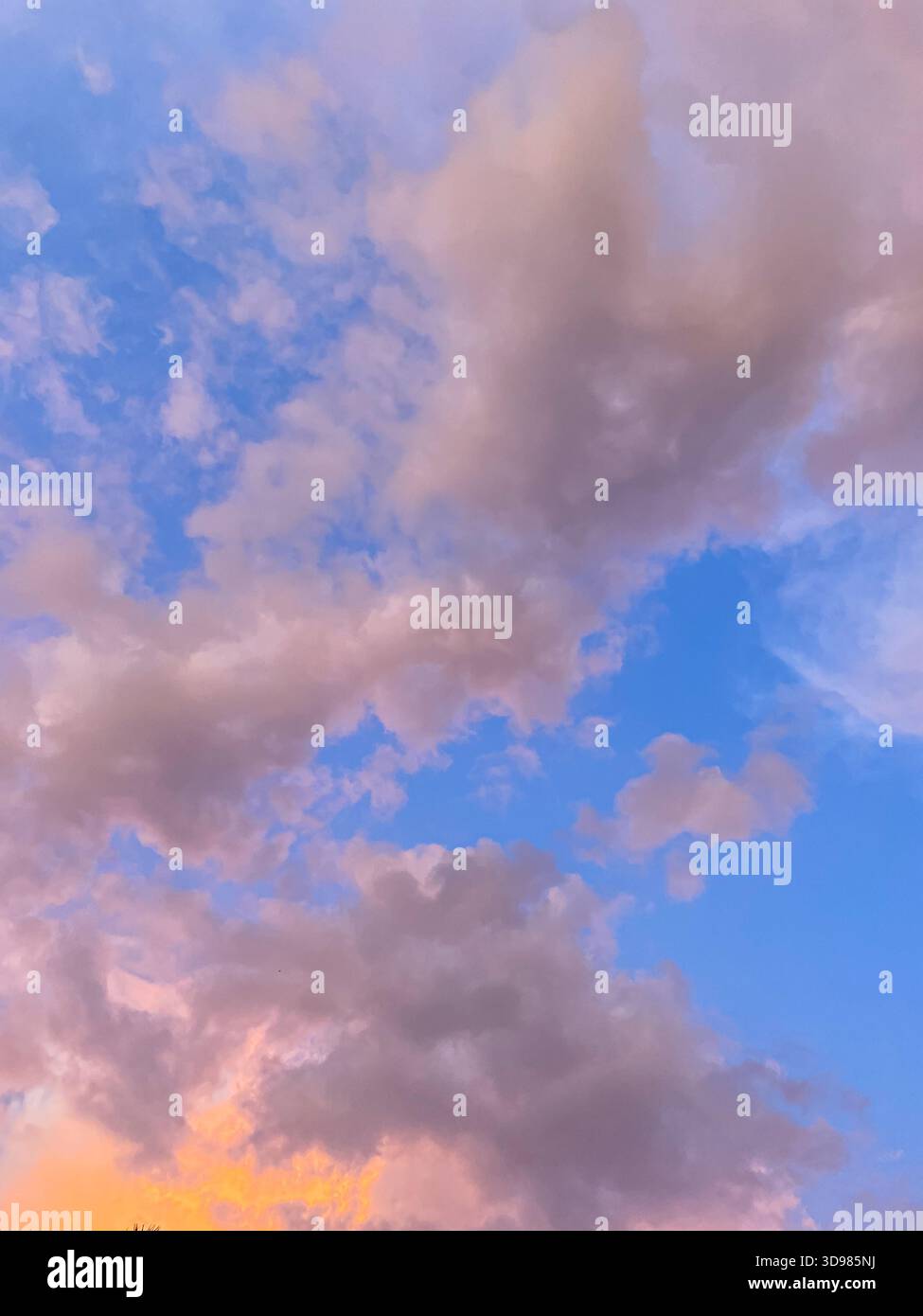 Golden sunset clouds drifting across a deepening sky, capturing the tranquil beauty of twilight - Smartphone Captured Stock Image