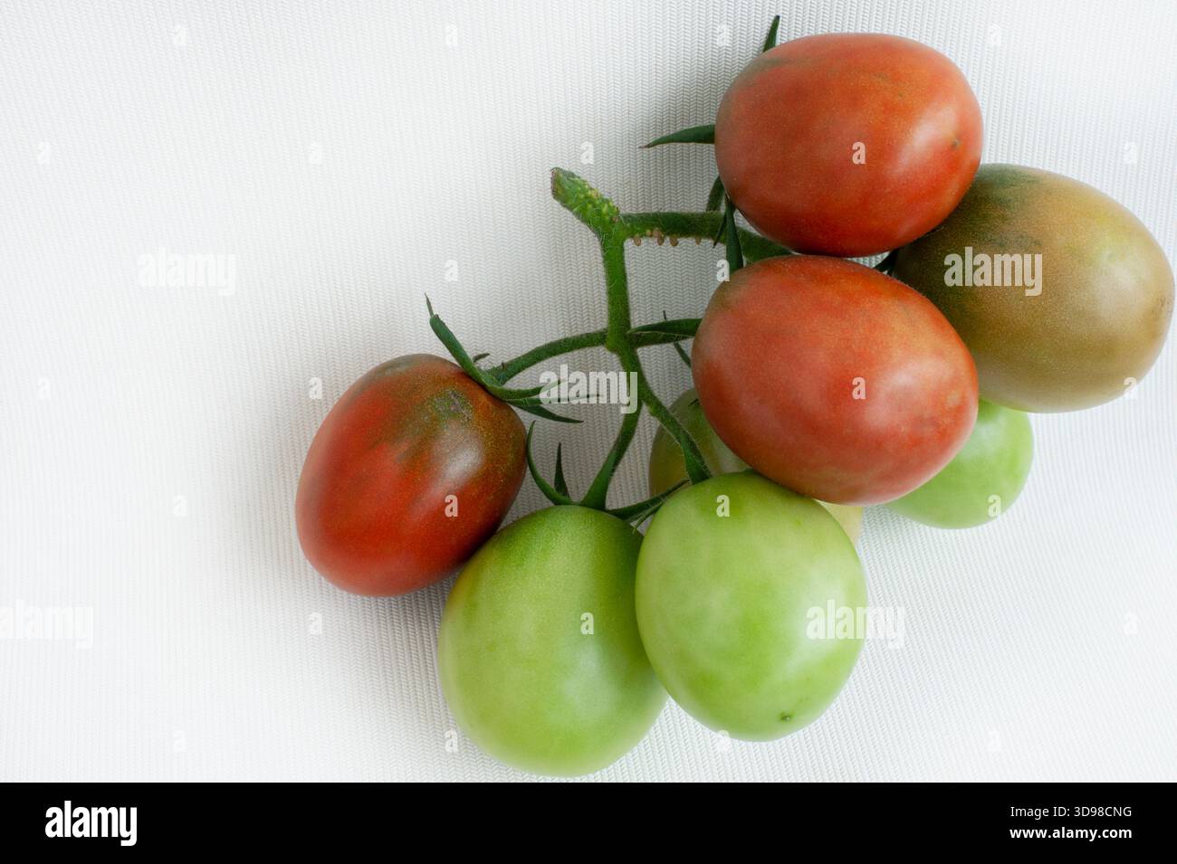 Delicious red tomatoes, isolated on white background Stock Photo