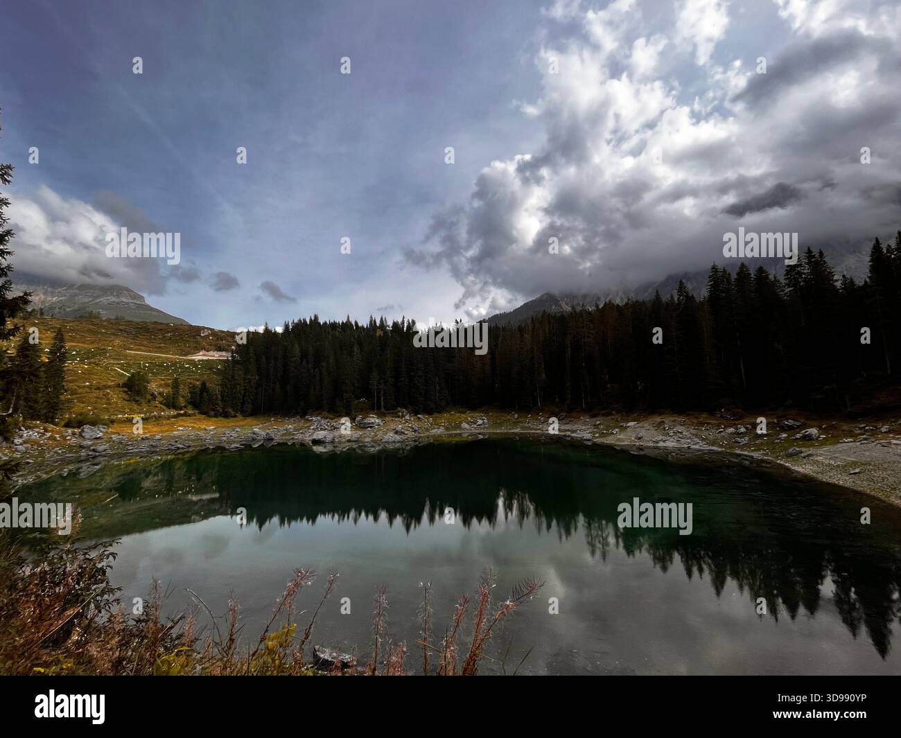 Breathtaking scene in the Italian Dolomites, the dense forest reflecting in the still lake beneath a dramatic, overcast sky. - Smartphone Captured Stock Image