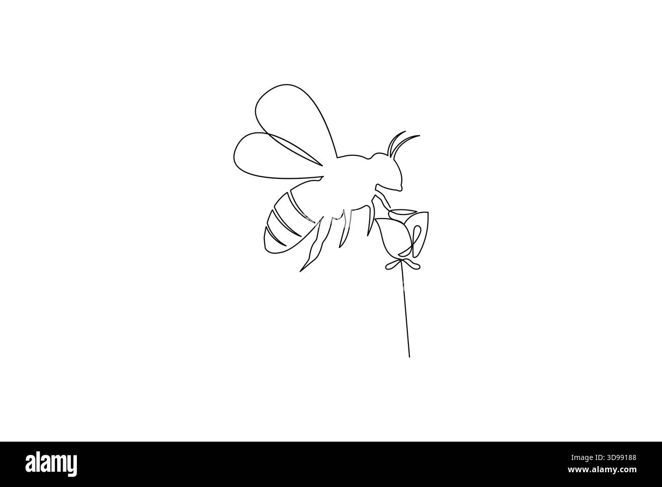 Bee continuous one line drawing in minimalist outline style Stock Vector
