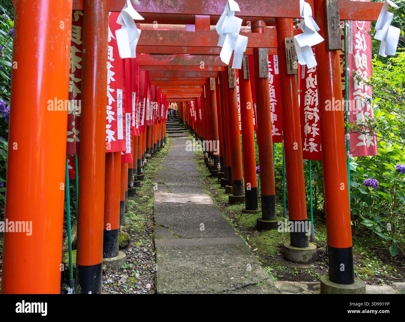 Red torii gates and fluttering banners line a peaceful path through the ...