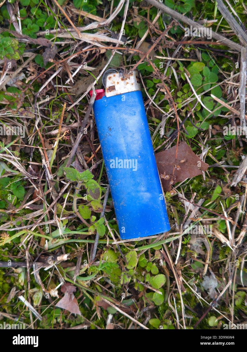 Bic disposable lighter on the grass, close up Stock Photo