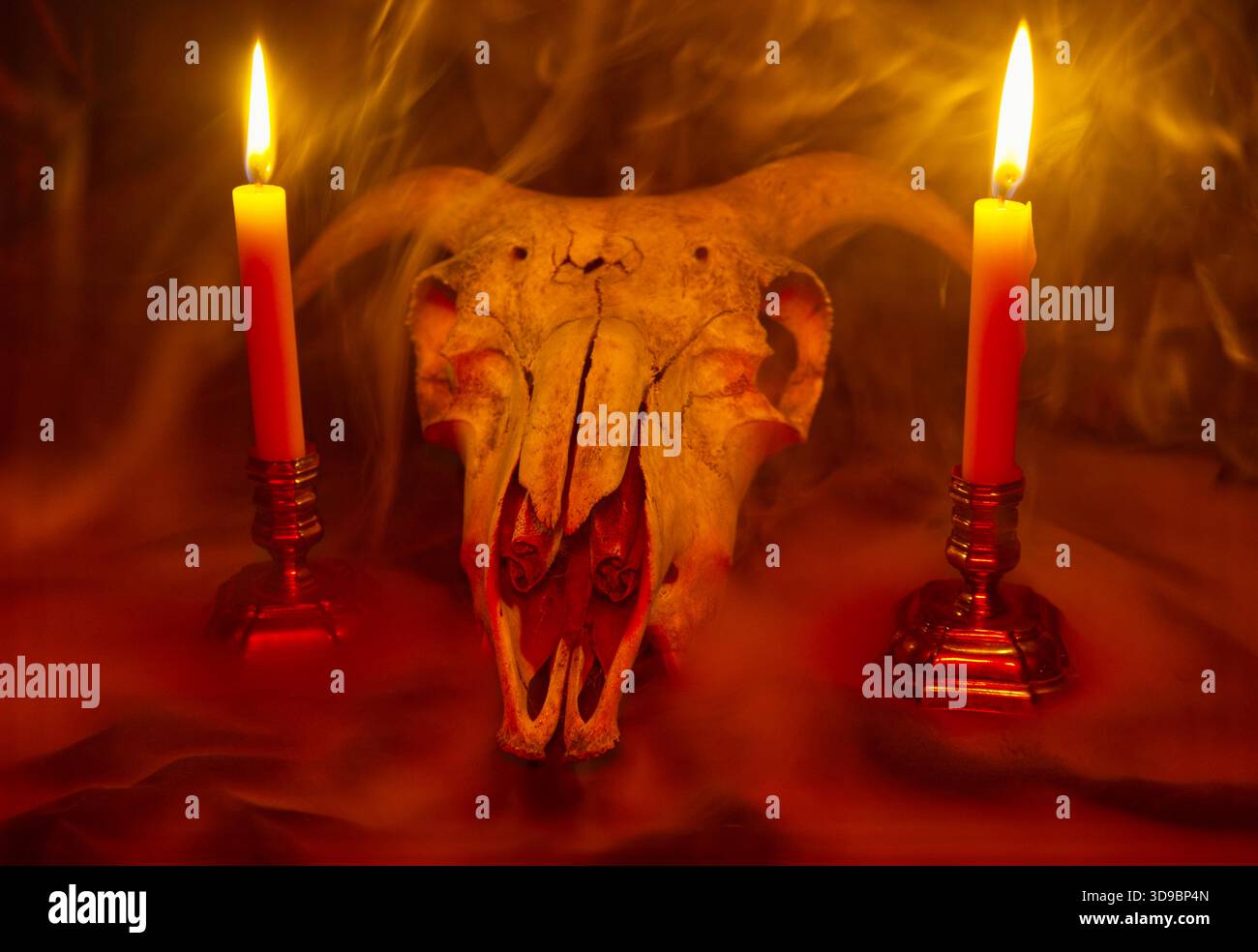 Spooky Halloween stil llife of Rams Skull candles and mist Stock Photo