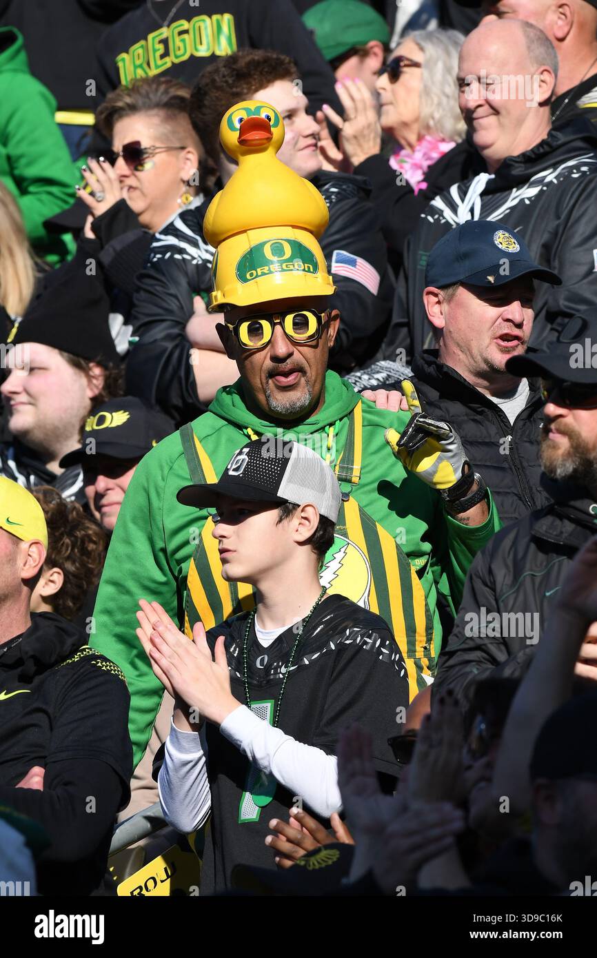 EUGENE, OR - NOVEMBER 22: An Oregon Ducks fan shows his support during ...