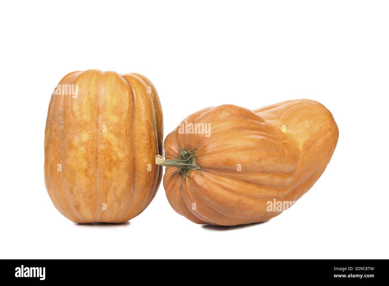 Two fresh pumpkins. Isolated on a white background Stock Photo