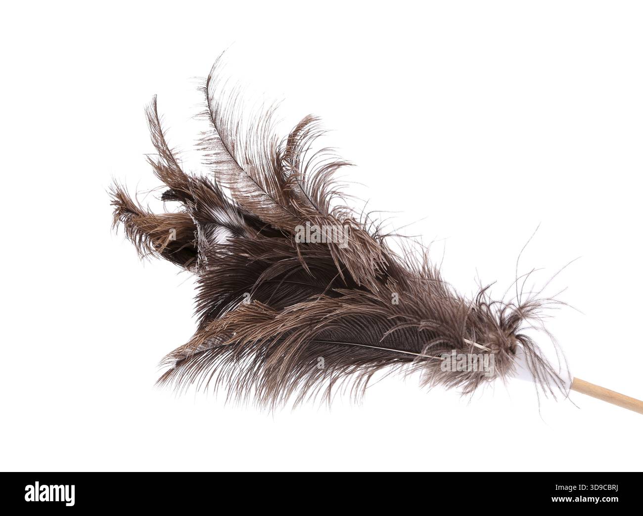 Brush ostrich feather on the white background Stock Photo