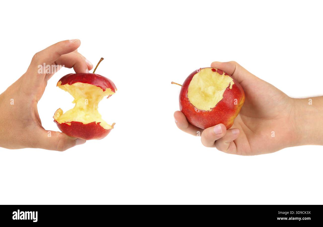 Hands holds core and nibbled apples. White background Stock Photo