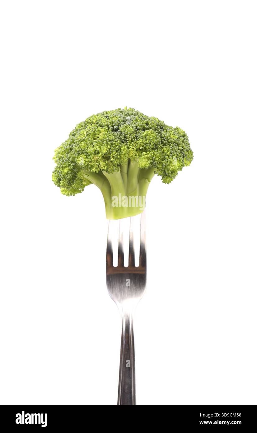 Broccoli impaled on a fork. White background Stock Photo
