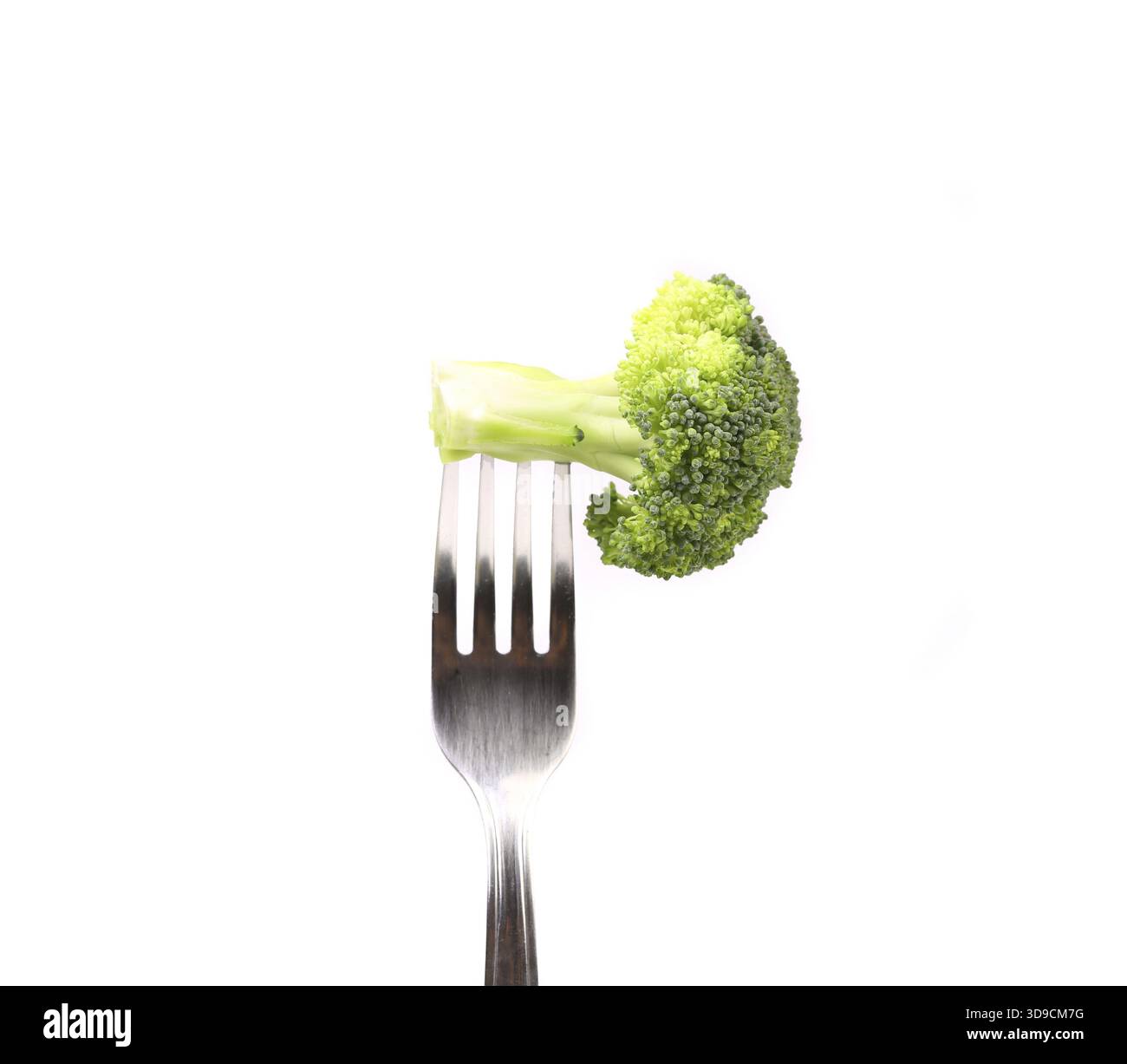Broccoli impaled on a fork. White background Stock Photo