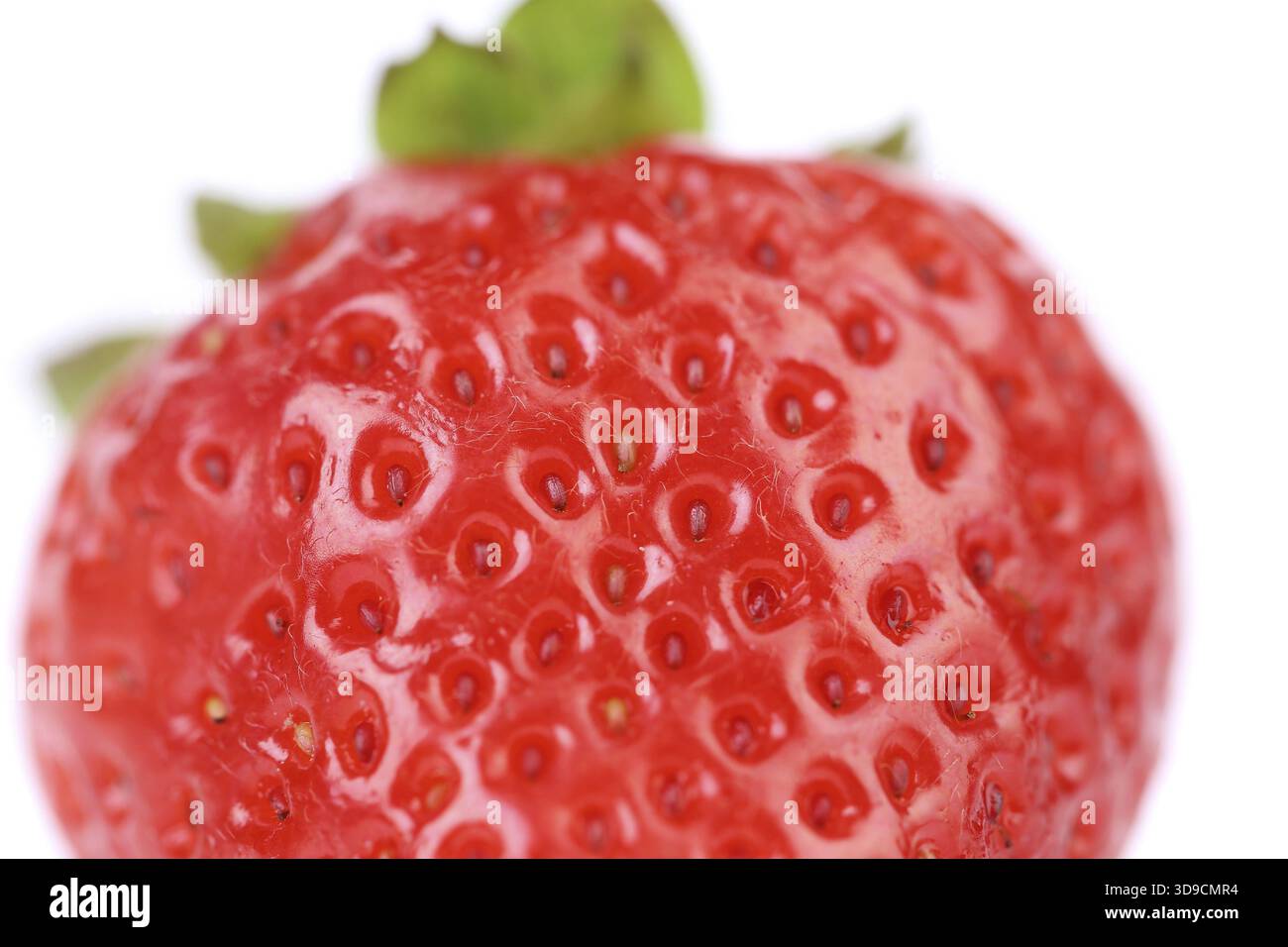 Fresh close up hi-res stock photography and images - Alamy