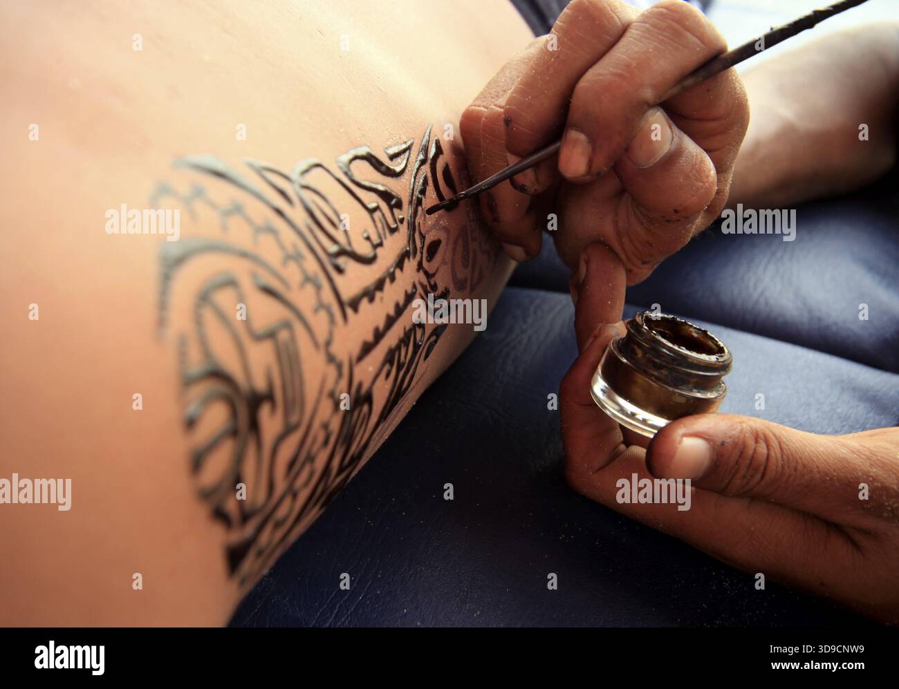 Draw bug and insect hi-res stock photography and images - Alamy