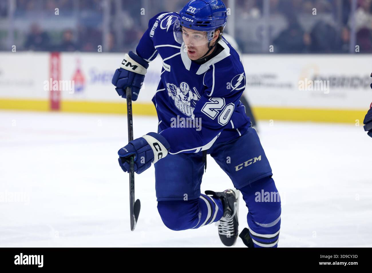 Tampa Bay Lightning Reassign Cooper Flinton, Shawn Element to Orlando Tampa Bay Lightning Reassign Cooper Flinton, Shawn Element to Orlando