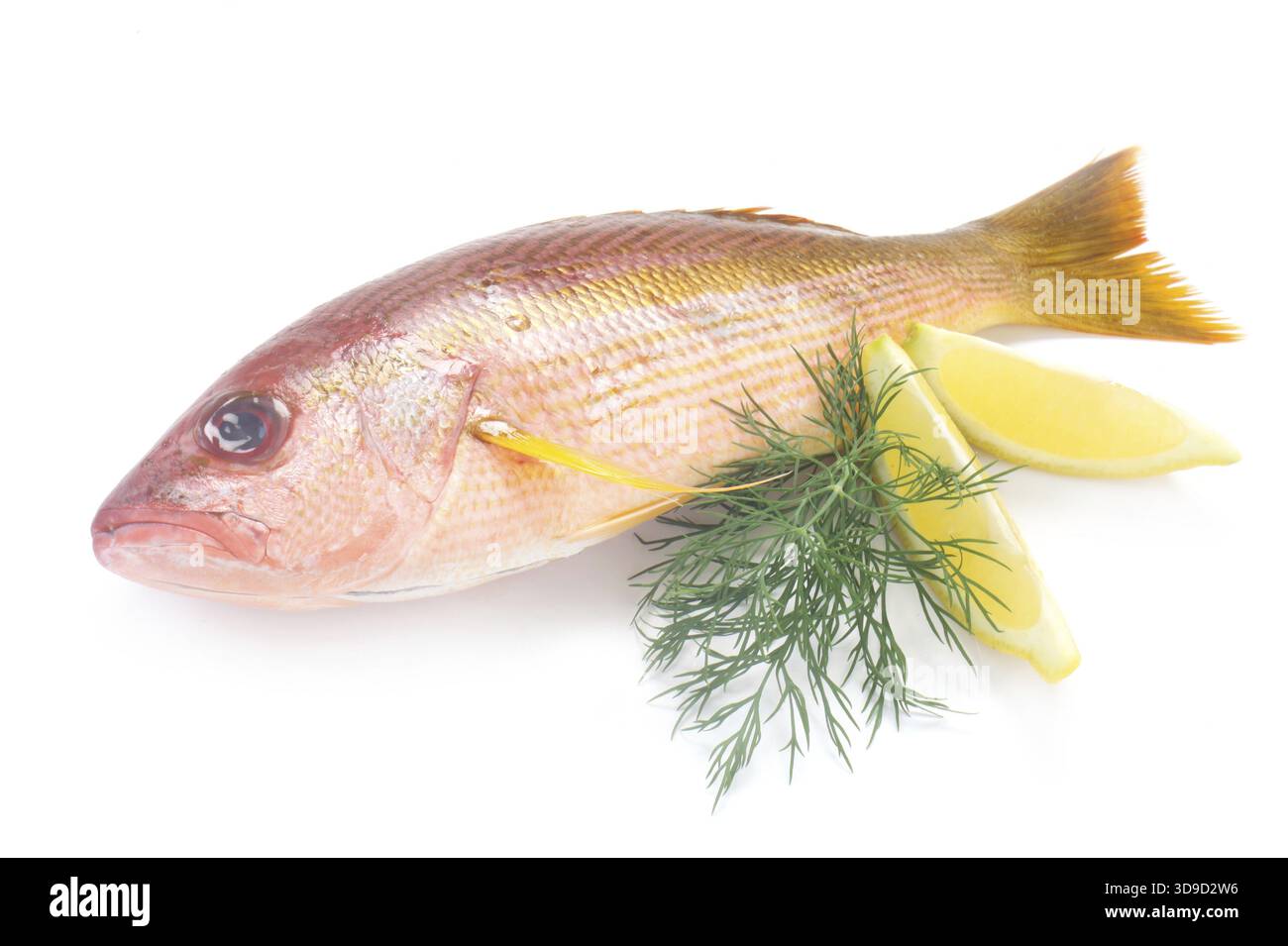 Whole Red Snapper Isolated On White Stock Photo