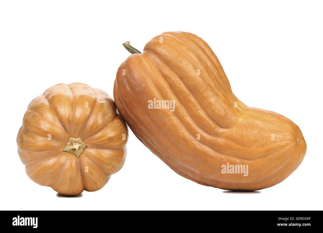 Two fresh pumpkins. Isolated on a white background Stock Photo