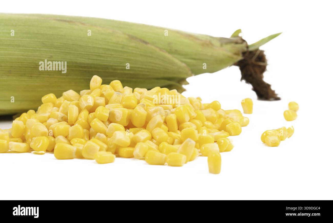 Closed corncob and corn kernels isolated on white background Stock Photo