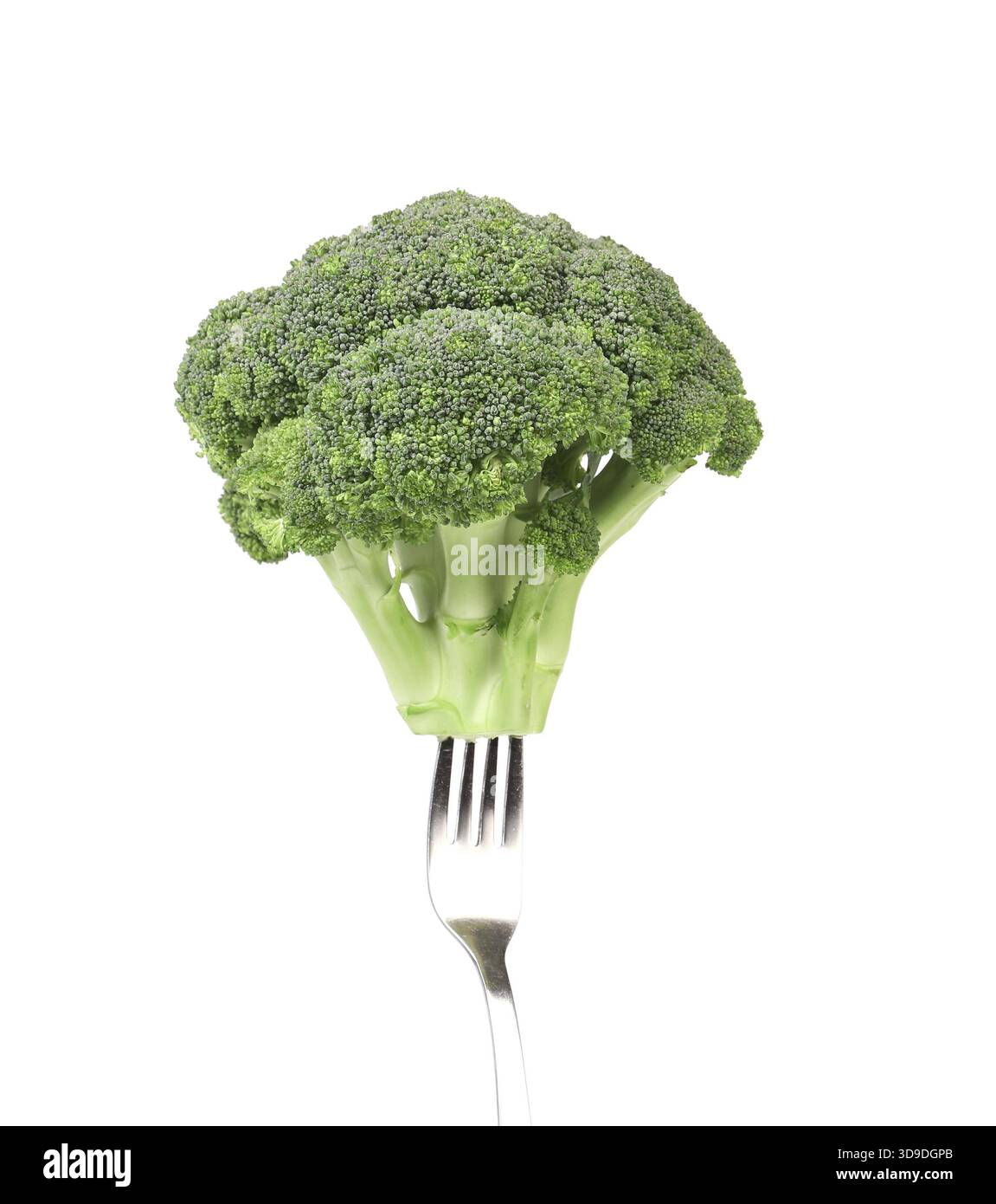 Broccoli impaled on a fork. Isolated on a white background Stock Photo