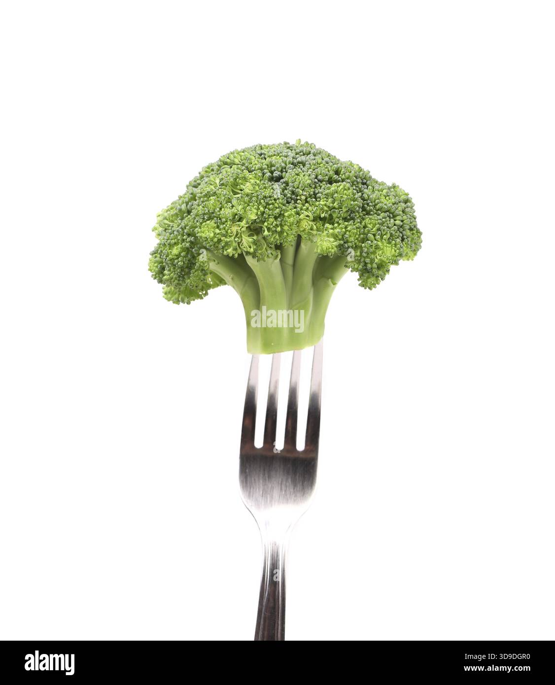 Broccoli impaled on a fork. Isolated on a white background Stock Photo