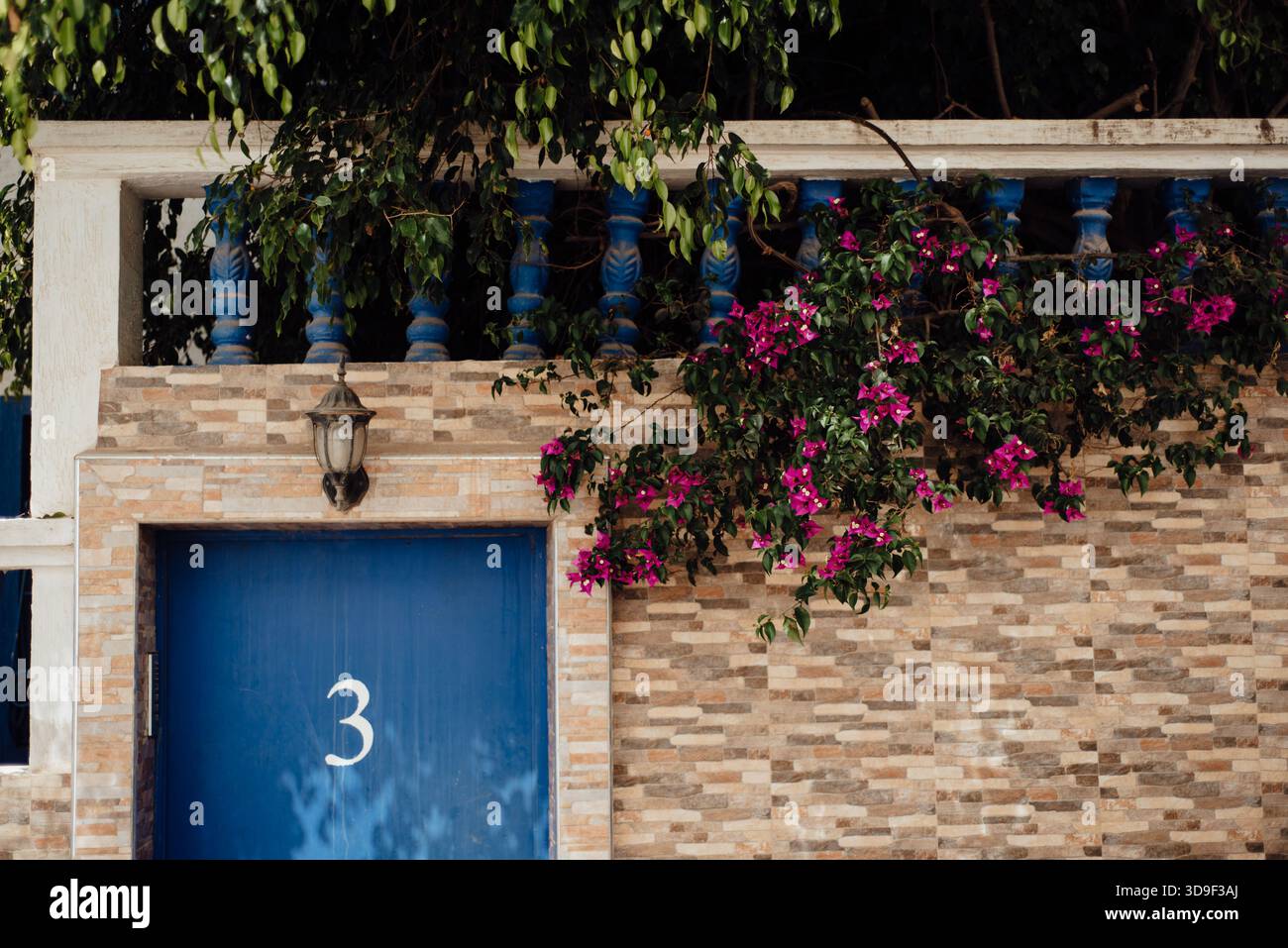 Taghazout Blue Door with Number 3 and Bougainvillea in Morocco Stock Photo
