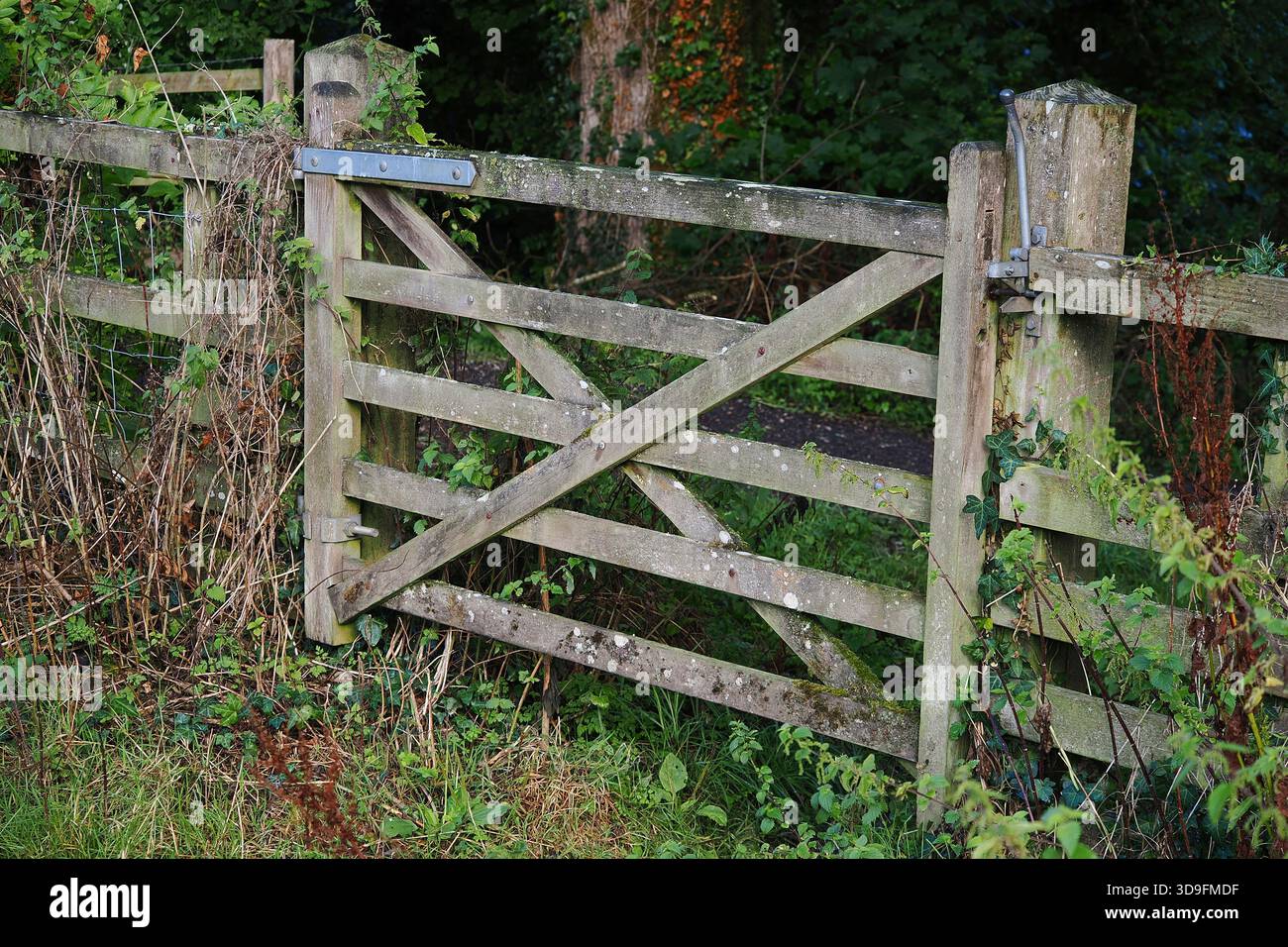 Hinged wooden hunting gate in field fence. Dorset, UK Stock Photo - Alamy